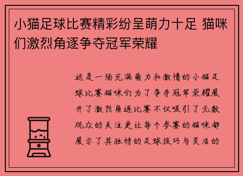 小猫足球比赛精彩纷呈萌力十足 猫咪们激烈角逐争夺冠军荣耀