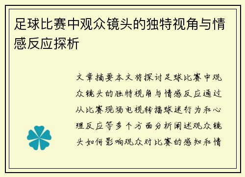 足球比赛中观众镜头的独特视角与情感反应探析