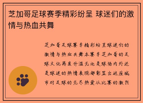 芝加哥足球赛季精彩纷呈 球迷们的激情与热血共舞
