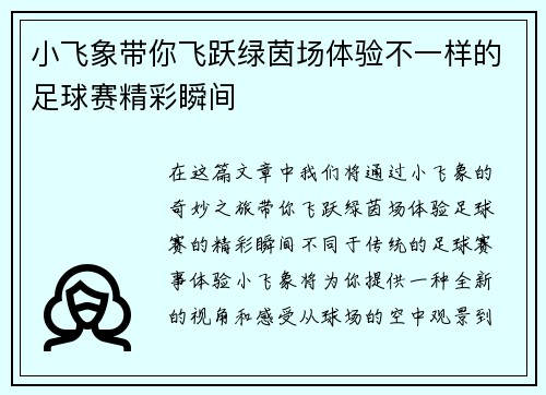小飞象带你飞跃绿茵场体验不一样的足球赛精彩瞬间