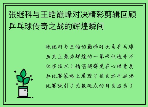 张继科与王皓巅峰对决精彩剪辑回顾乒乓球传奇之战的辉煌瞬间