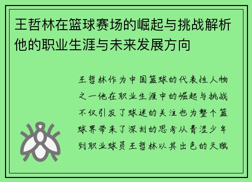 王哲林在篮球赛场的崛起与挑战解析他的职业生涯与未来发展方向